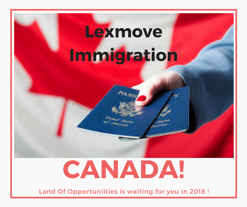 Lex Move Lex Move - Best Immigration Consultant in Delhi photo 2