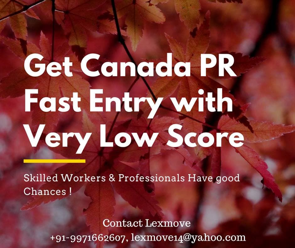 Lex Move Lex Move - Best Immigration Consultant in Delhi photo 4