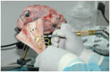 Neurosurgery Education and Training School Neurosurgery Education and Training School photo 5