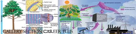 CAREER PLUS CAREER PLUS photo 4