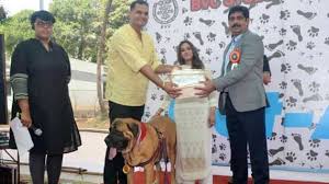 Action Dogs Services Pvt. Ltd. Action Dogs Services Pvt. Ltd.: Gallery photo 1