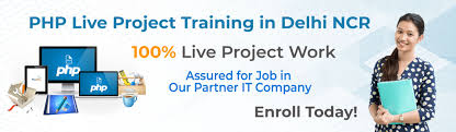 Dynamic Host Dynamic Host photo 4
