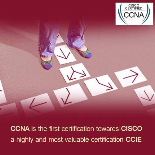 Sappers Solutions Pvt Ltd Pictures photo 2