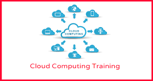 Monster Trainings Monster Trainings photo 3