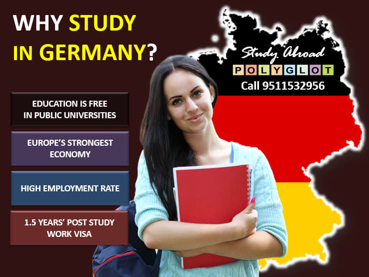 POLYGLOT Gallery: Polyglot photo 2