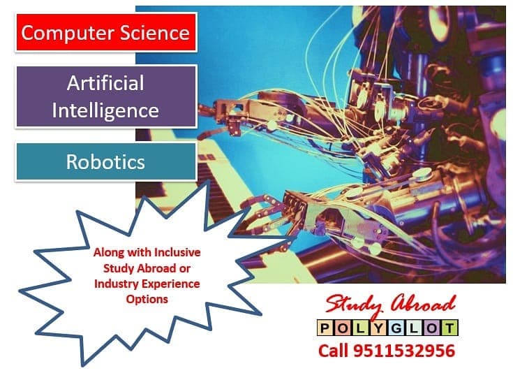 POLYGLOT Gallery: Polyglot photo 3