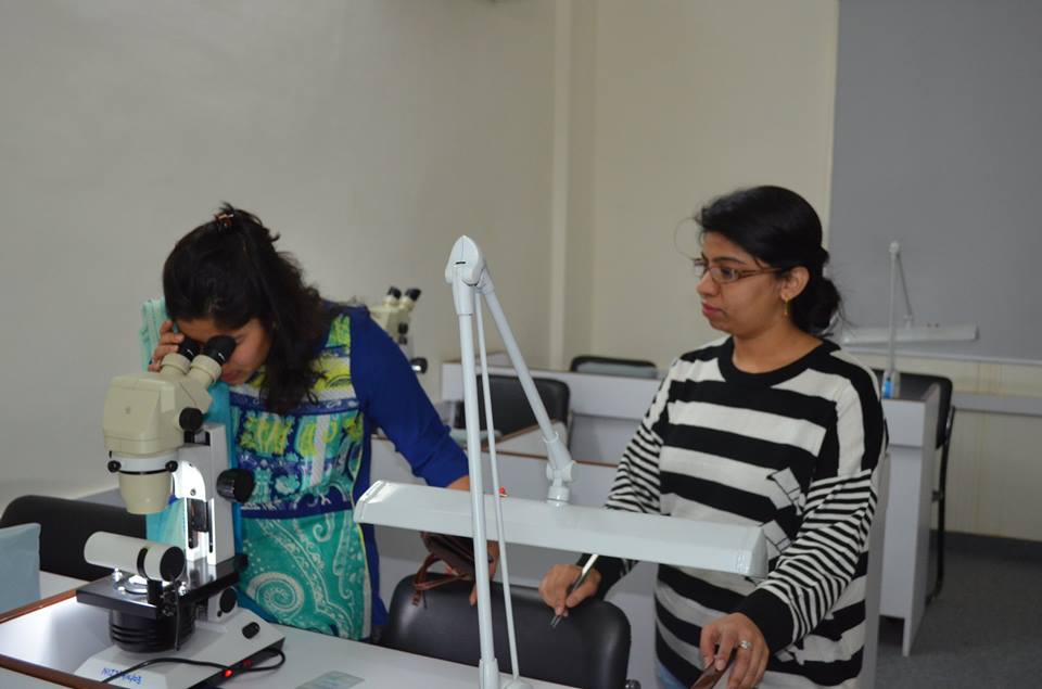 NIJT Campus photo 7