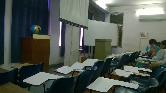 Brain Tree Brain Tree photo 3