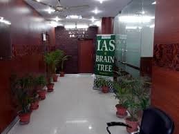 Brain Tree Brain Tree photo 6