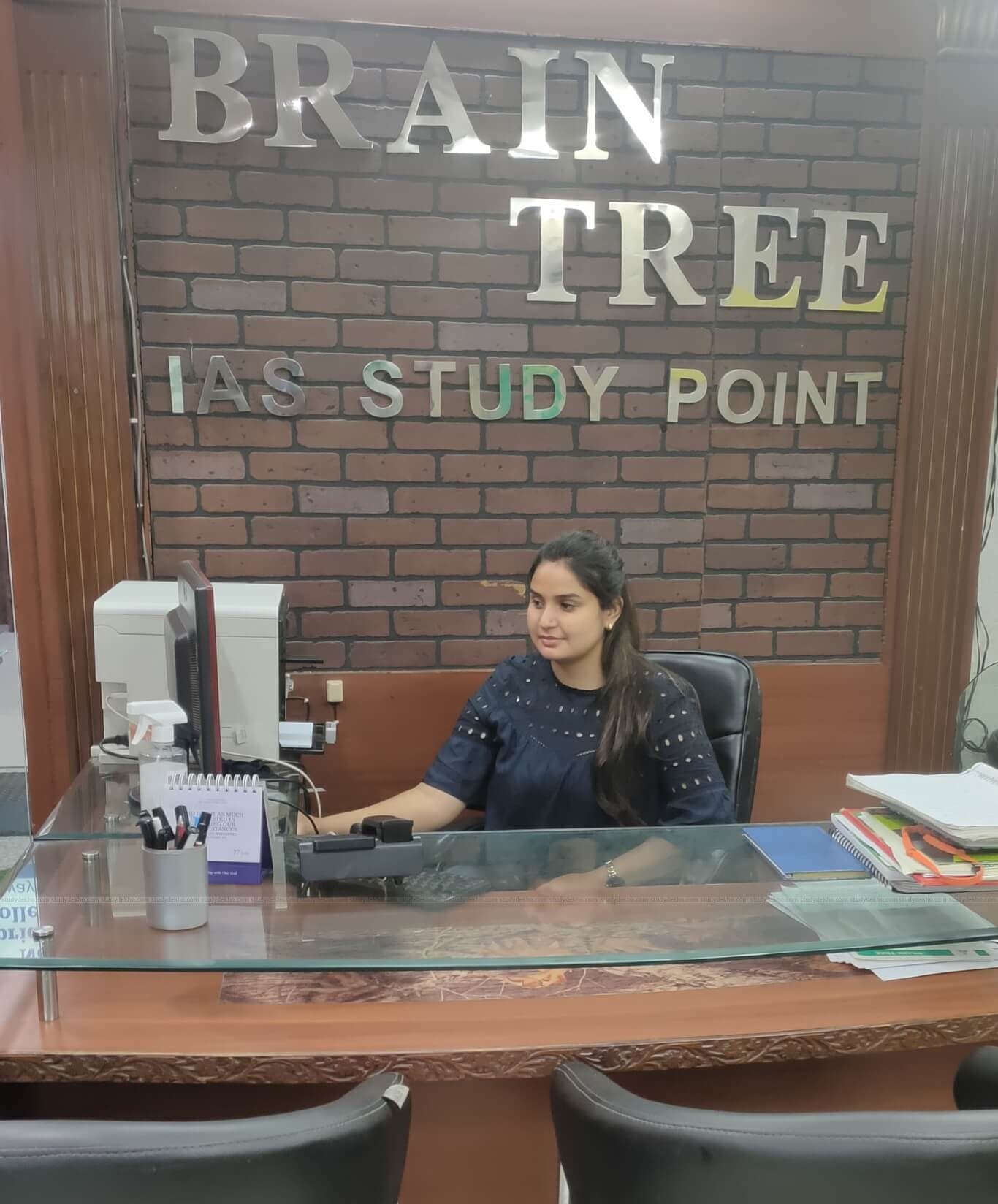 Brain Tree Brain Tree photo 7