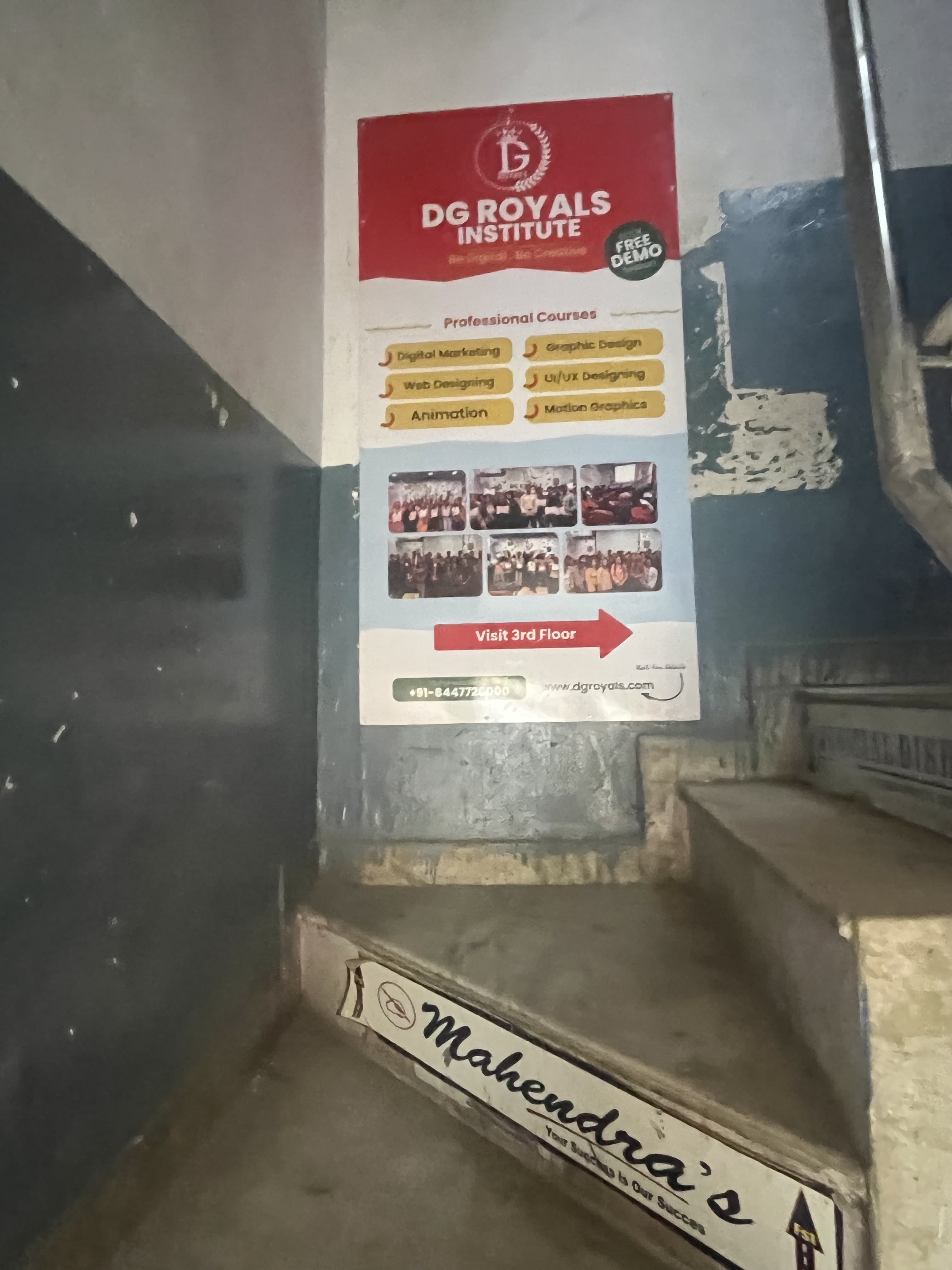 DG Royals DG Royals photo 4