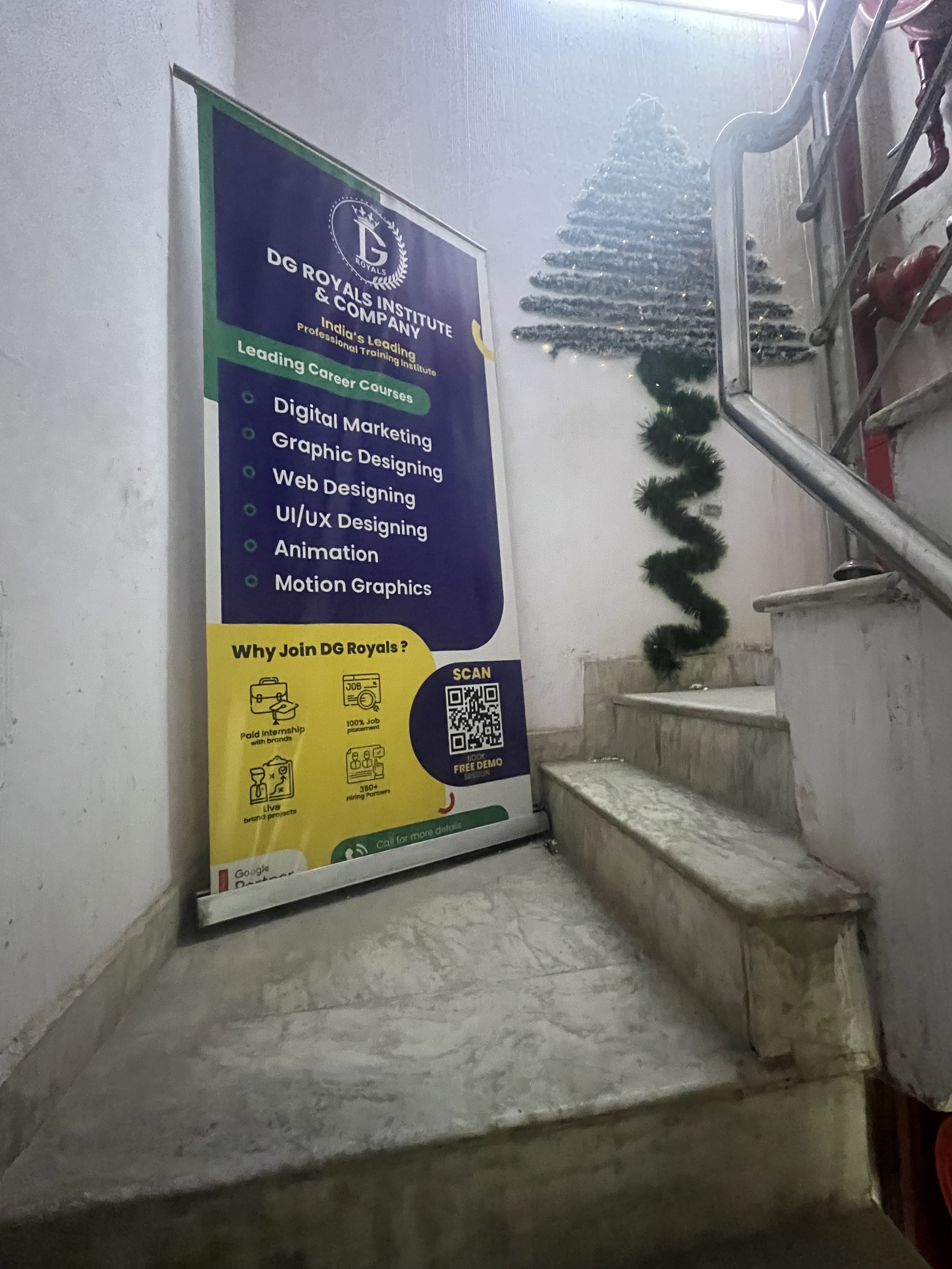 DG Royals DG Royals photo 5