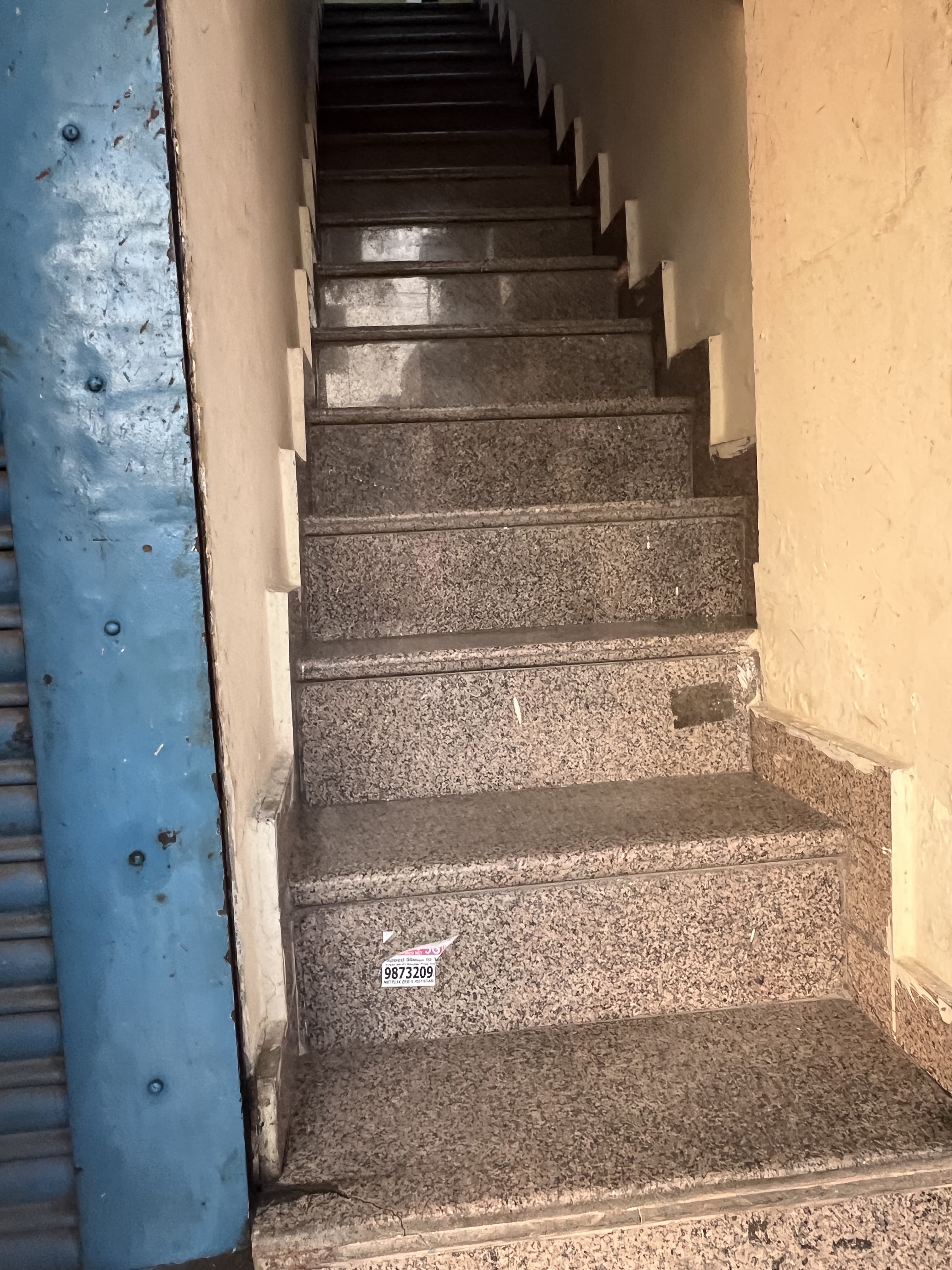 Oracle International Language Institute Oracle International Language Institute photo 4