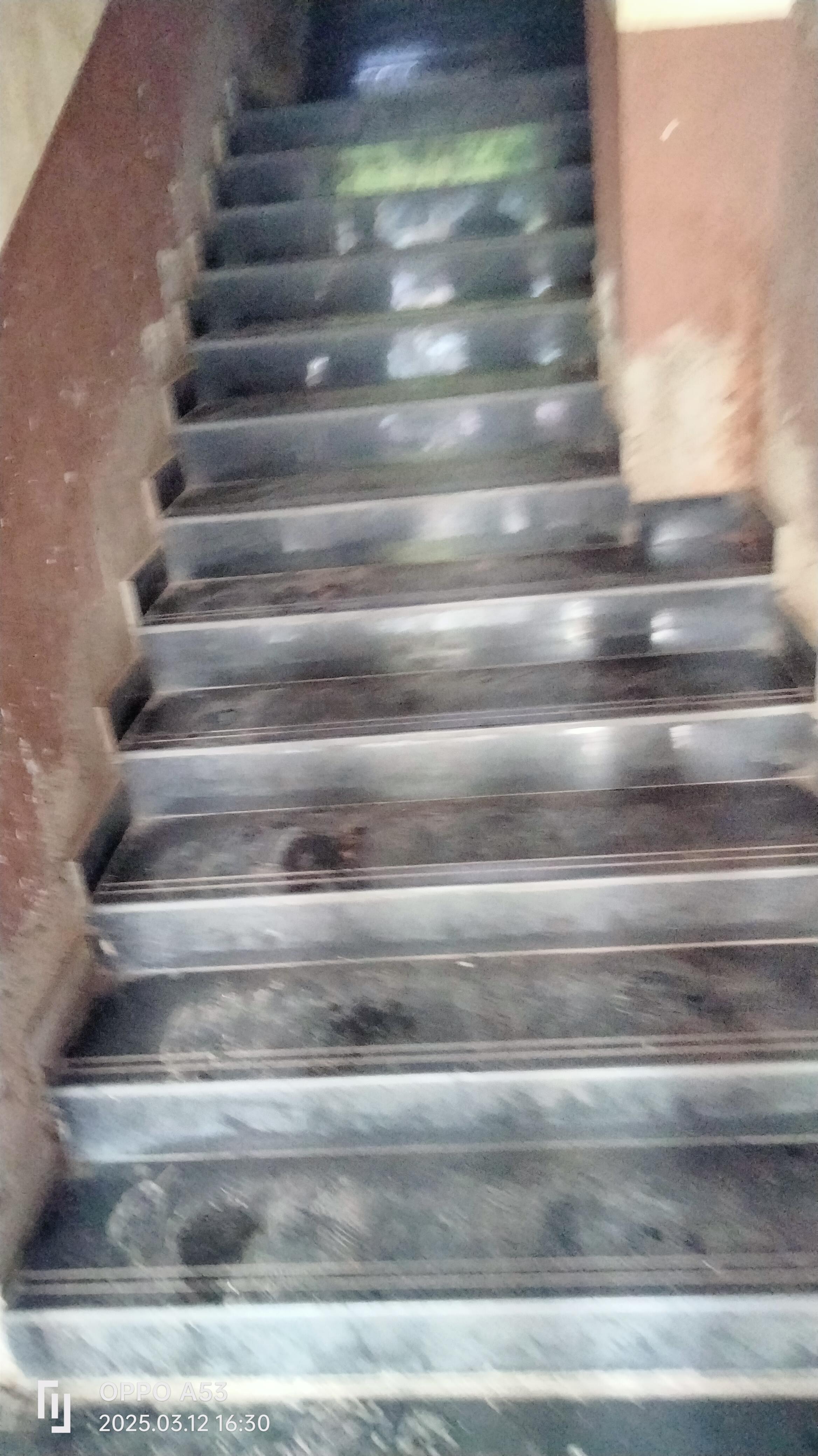 Disha Computer Institute Vashi: Reviews Fees 2025 Address