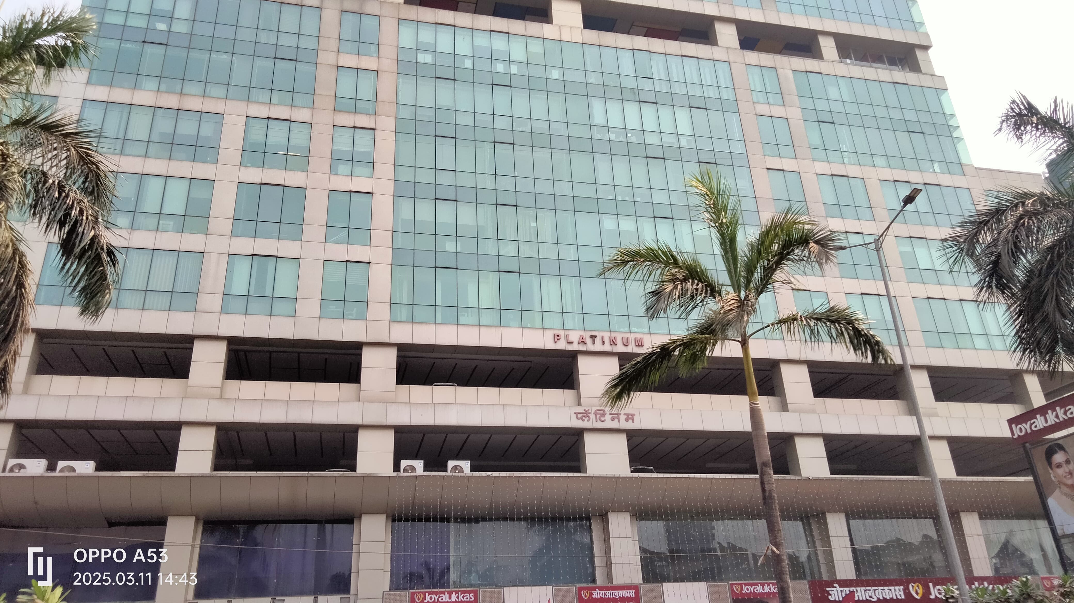 Y-Axis Vashi Y-Axis Images photo 2