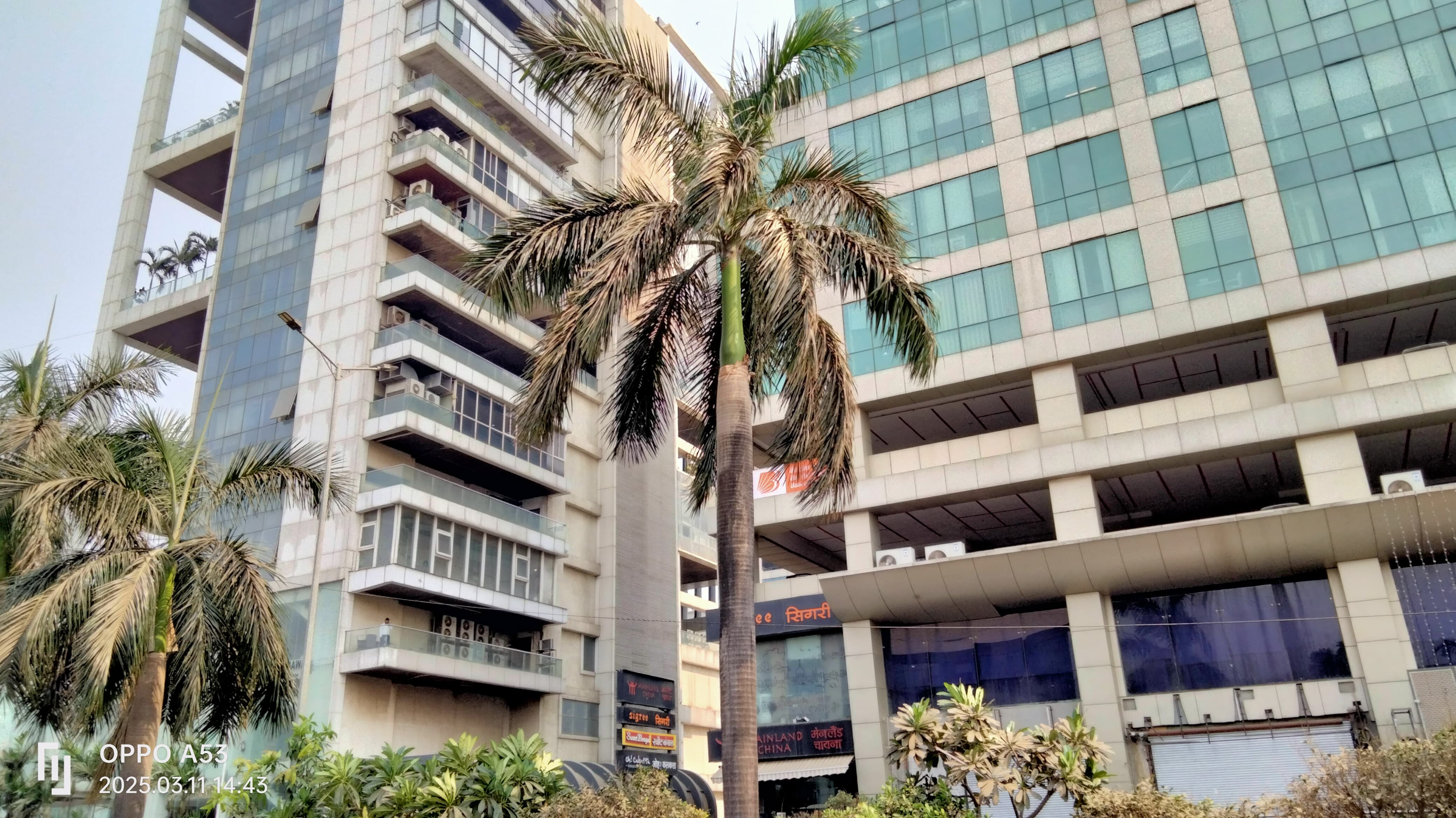 Y-Axis Vashi Y-Axis Images photo 3