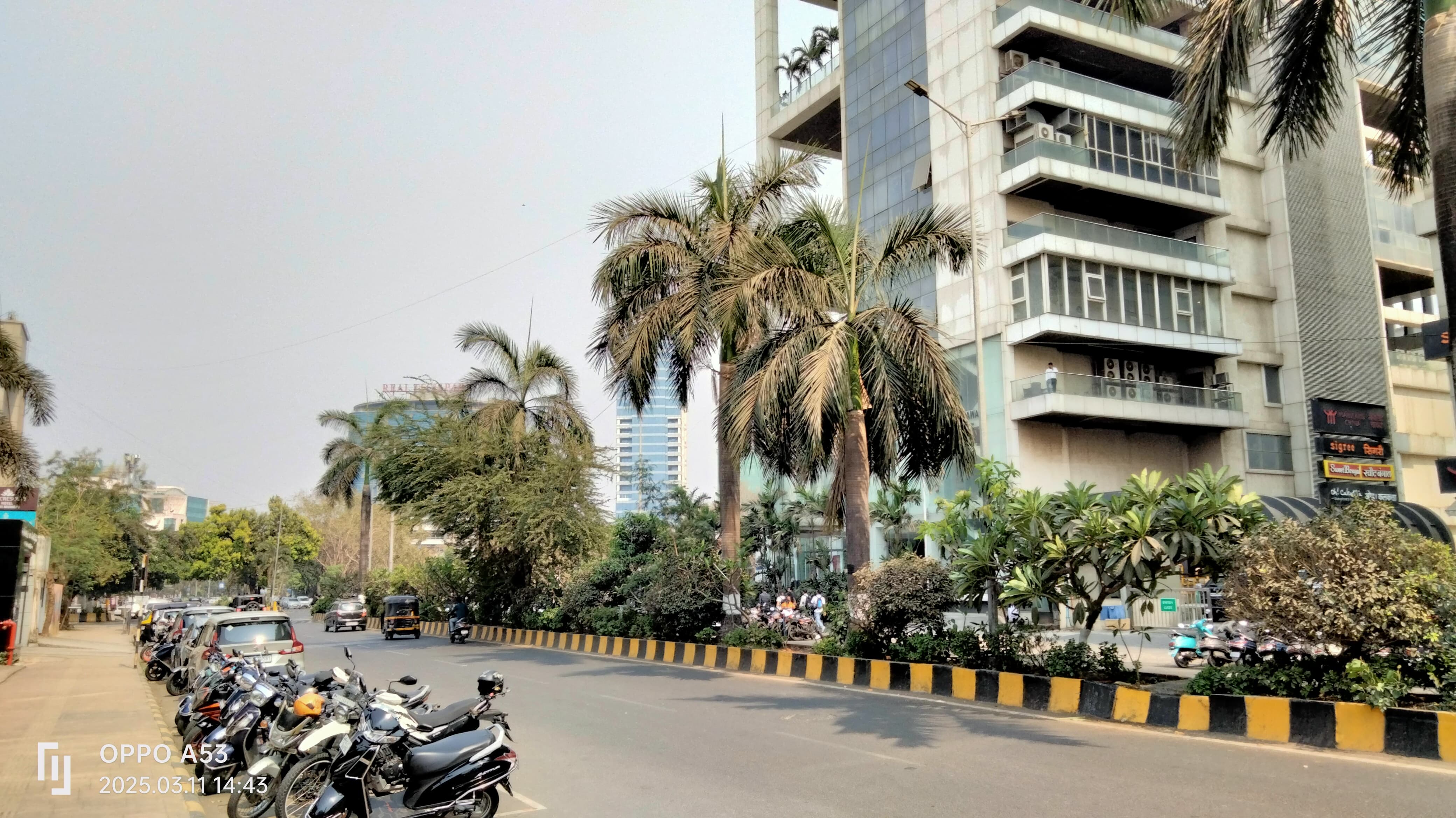 Y-Axis Vashi Y-Axis Images photo 4