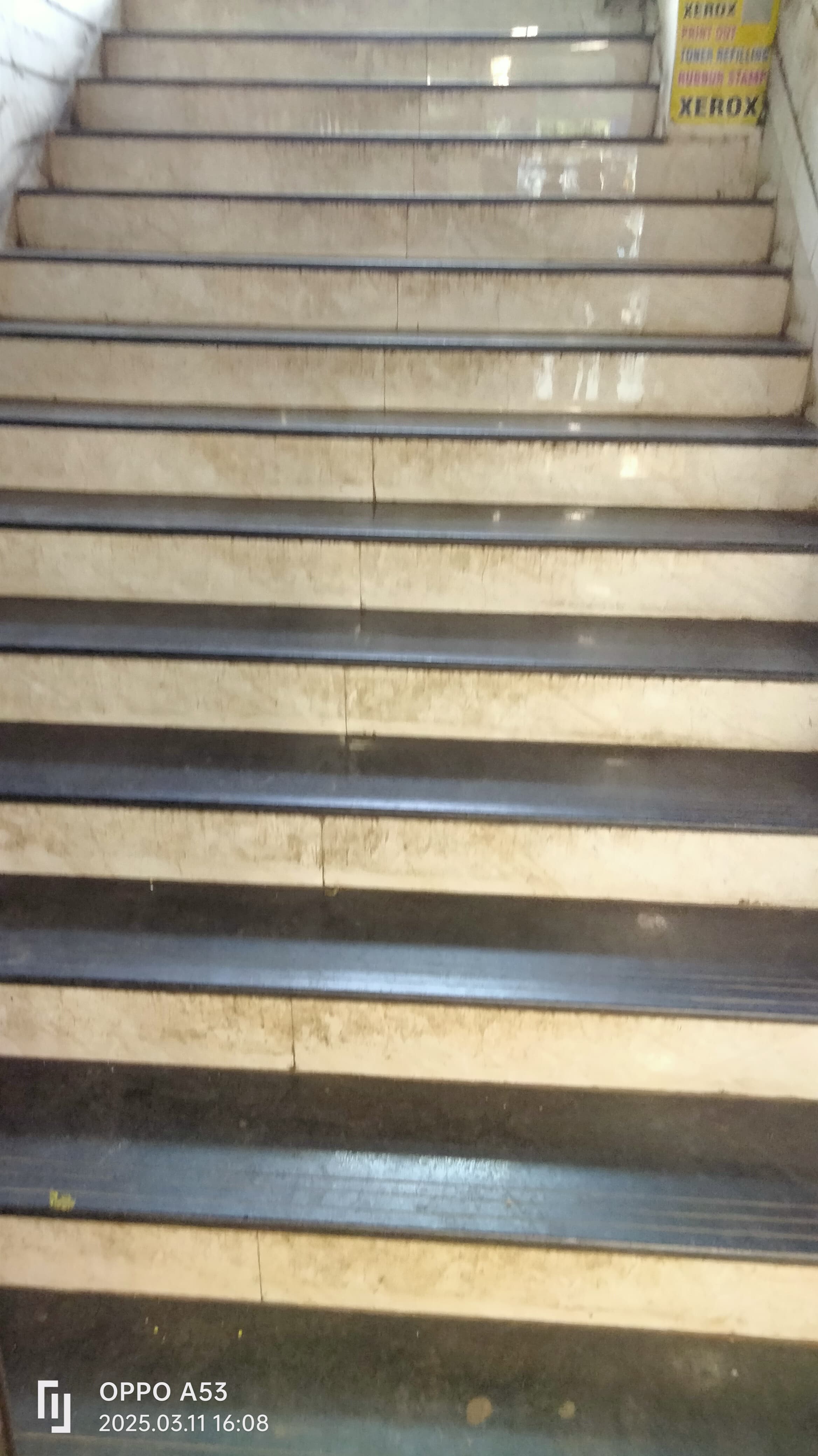 Learnlanguages.store (IELTS, French, German, Spanish, Chinese, Japanese, Korean, English and Russian classes in Navi Mumbai) Learnlanguages.store  Images photo 1