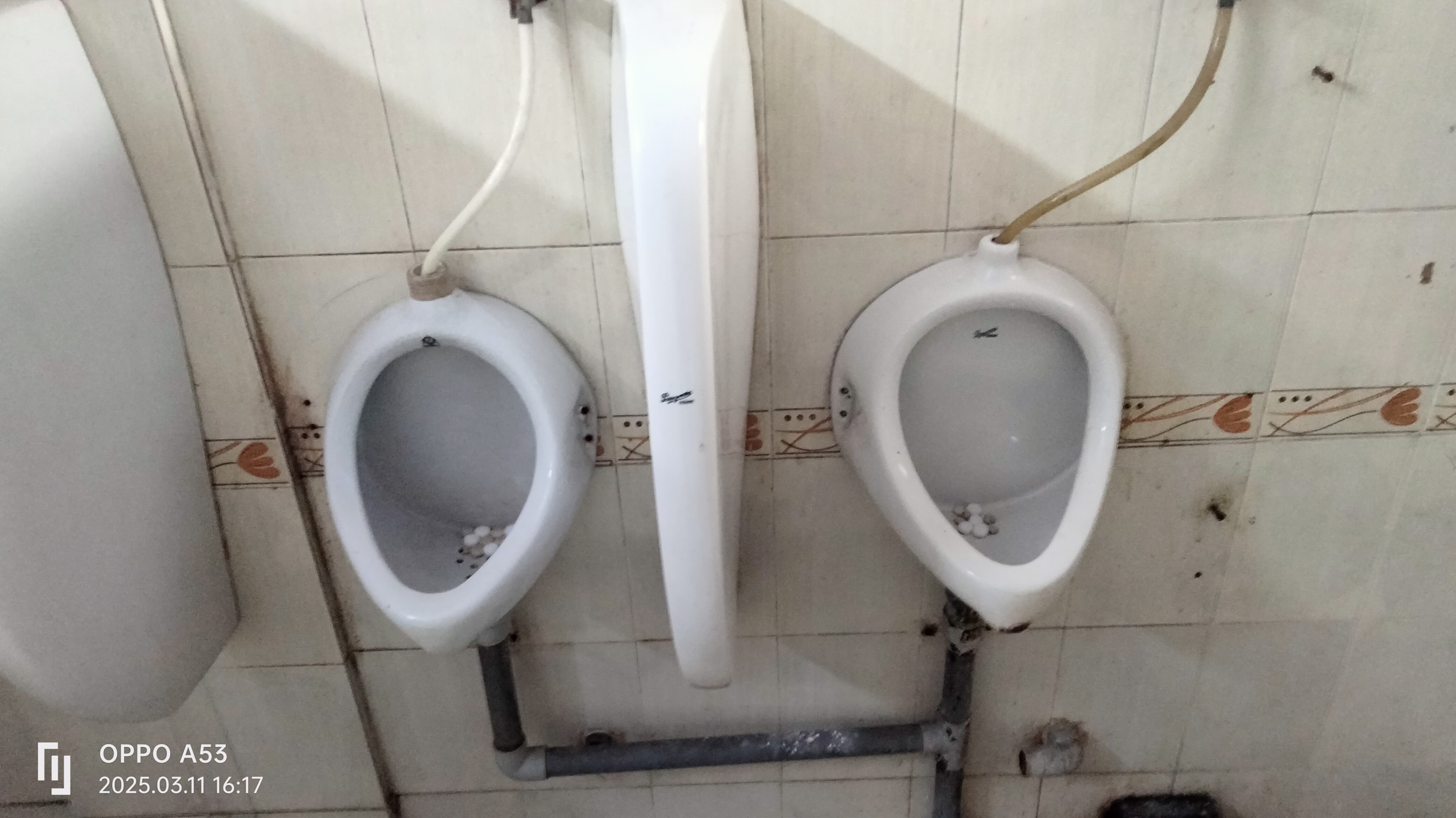 Learnlanguages.store (IELTS, French, German, Spanish, Chinese, Japanese, Korean, English and Russian classes in Navi Mumbai) Learnlanguages.store  Images photo 5