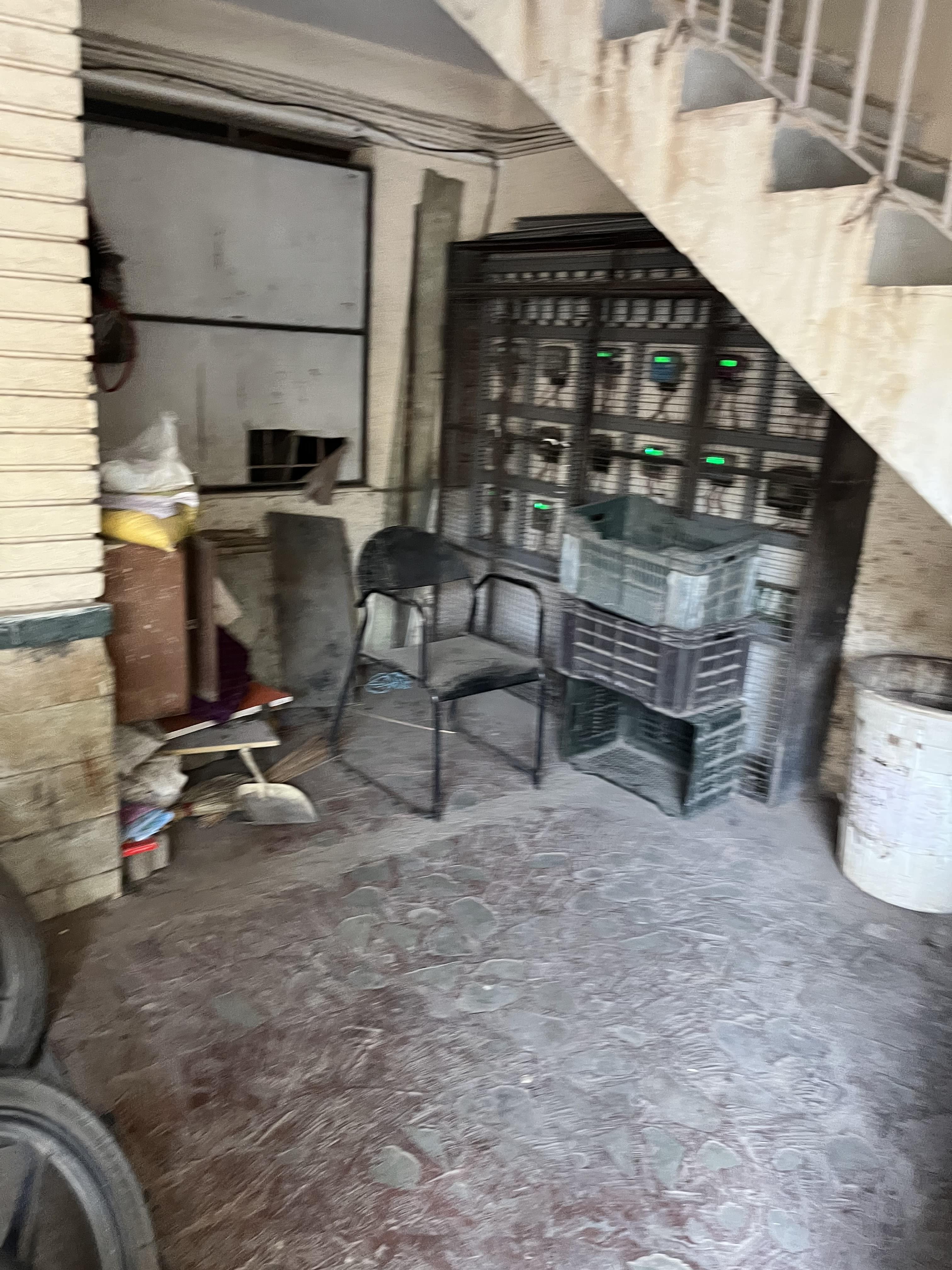 Disha Computer Institute Balewadi: Fees 2025 Courses Address Contact