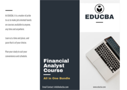 Online Learning Program: Financial Analyst Bundle