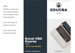 Online Learning Program: One Excel VBA Bundle