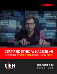 Regular Classroom Course: Ethical  Hacking Programming Session