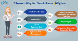 brochure_1607759147_Pyt1