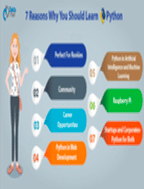 brochure_1612950147_Pyt1