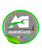 brochure_1613029981_11