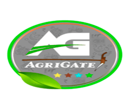 brochure_1613029981_11