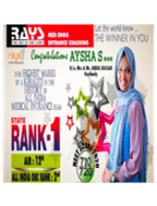 Rays Education Results