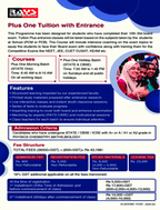 Rays Education Courses Overview