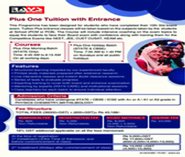 Rays Education Courses Overview