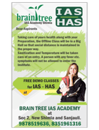 Brain Tree Overview