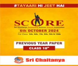 Sri chaitanya class 10th scholarship test sample paper