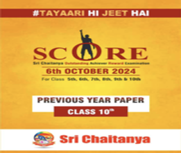 Sri chaitanya class 10th scholarship test sample paper