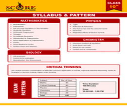Sri chaitanya class 10th scholarship test Syllabus