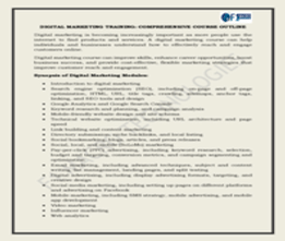 F1 Digital Marketing