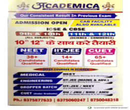 Academica Institute Overview