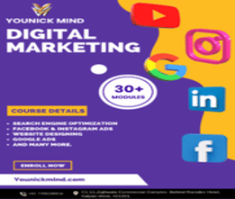 YouNick Mind Digital Marketing Training Institute Overview