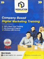 Modulation Institute