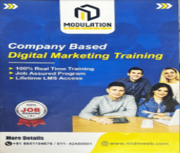 Modulation Institute