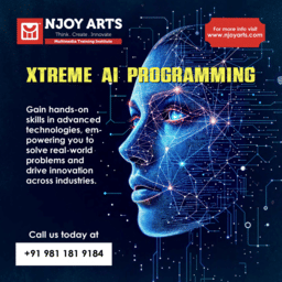 Njoy AI programming