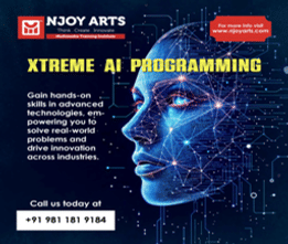 Njoy AI programming
