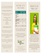 Logic Academy CAT E-Brochure