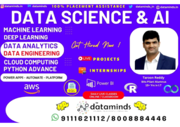Data Minds Analytics