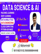 Data Minds Analytics