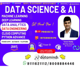 Data Minds Analytics