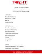 Full Stack Developer